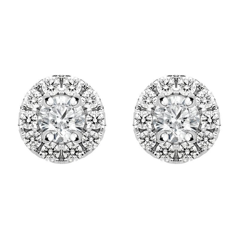 18ct White Gold 0.53ct Diamond Claw Set Pave Round Stud Earrings BLC-189