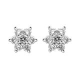 18ct White and Yellow Gold Diamond Cluster Stud Earrings, FEU-2488. 